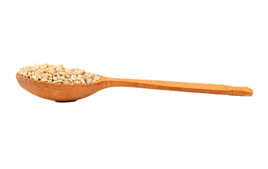 Pearl barley in spoon