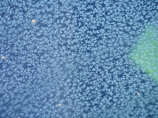 Ice crystals on the windshield of a car. Frost.