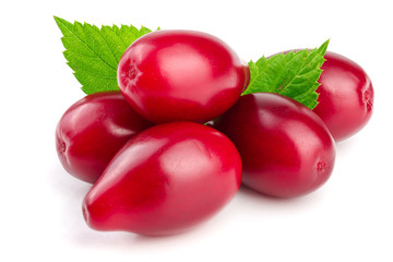 Red berries of cornel or dogwood with leaf isolated on white background