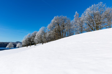 Obraz premium Biggesee Winter, schnee Sonderner Kopf