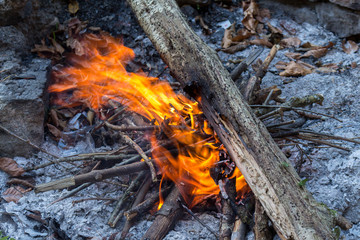 The warm of fire