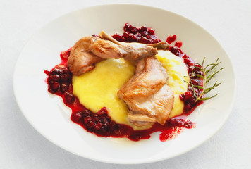 fried rabbit stewed in white wine and broth with rosemary and cranberries garnished with mashed potato and sauce of cranberies and white wine decorated with fried rosemary