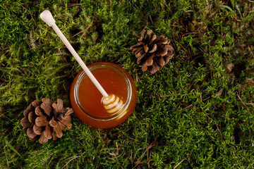 Honey in a glass jar with a wooden honey stick on a background of forest moss.