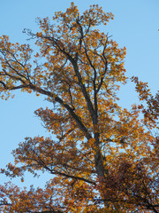 Schönes Bayern im Herbst