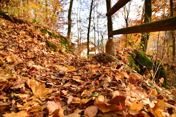 Herbst Landschaft bunt