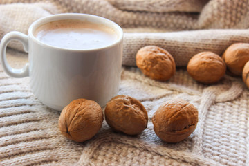 walnuts in season
