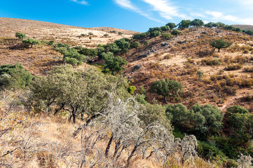 Mountains in the natural park of Monfrague