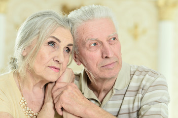 Portrait of a beautiful senior couple posing at home