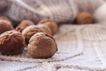 walnuts in season