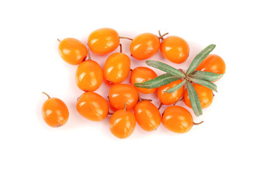 Sea buckthorn. Fresh ripe berry with leaves isolated on white background. Top view. Flat lay pattern