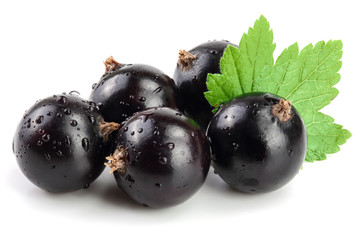 black currant with leaf isolated on white background