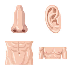 Vector illustration of human and part logo. Set of human and woman stock vector illustration.