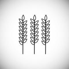Vector illustration. Line style icon of barley ears for thanksgiving day. Simple element for different design.