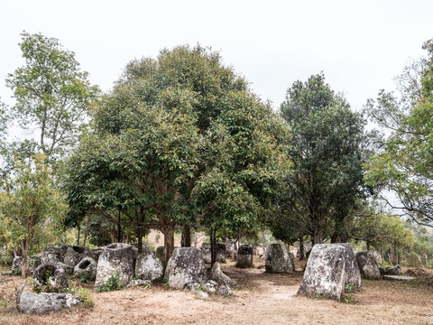  Plain of Jars of Phonsavan..
