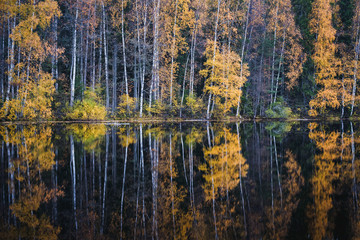 Beautiful water reflection view with fall colors and lake at autumn day in Finland.