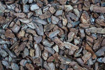 Tree bark decor on ground in cold colors