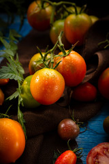 Fresh tomatoes close-up