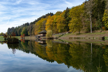 Fototapeta premium lake in the forest