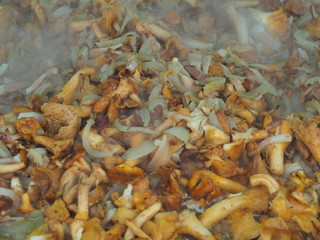 Pfiferlinge in der Pfanne