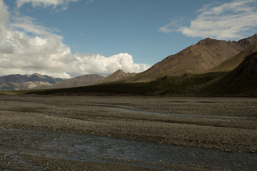 Fototapeta na wymiar Tundra at Denali National Park Alaska