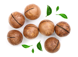 unshelled macadamia nuts isolated on white background. Top view. Flat lay pattern