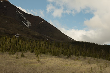 Mountains and Tundra at Denali National Park Alaska