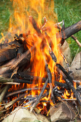 Fire roast flame. Be careful in the forest!