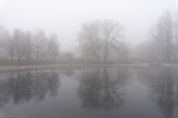 Fototapeta na wymiar Trees in fog reflecting in lake