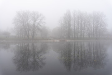 Trees in fog reflecting in lake