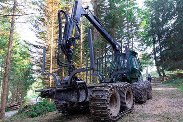 Trattore con pinza per trasporto tronchi nel bosco