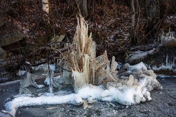 icy branches on the lake shore