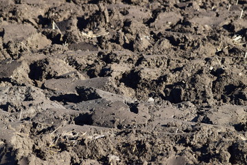 plowed