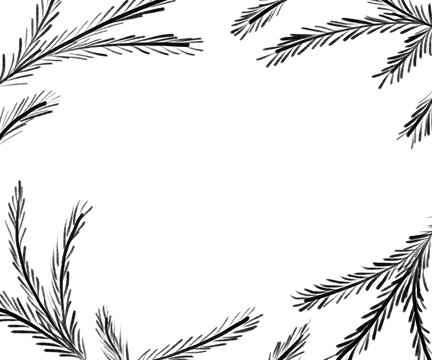 Black and White Hand Drawn Pine Stems Frame