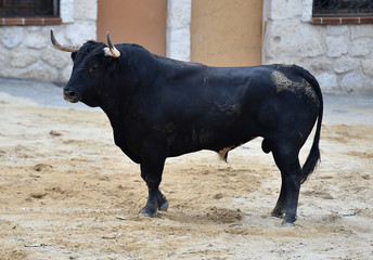 toro español