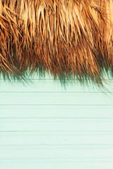 Wooden light blue caribbean styled cabin log wall detail with dry palm thatch, typical coastal vertical tropical closeup background.