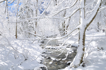 Snowy Stream