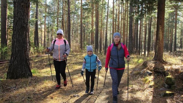 Woman do Nordic walking in nature. Girls and children use trekking sticks and nordic poles, backpacks. Family travels and goes in for sports. Kid is learning from mother and grandmother the proper