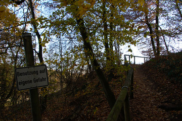 autumn in the park