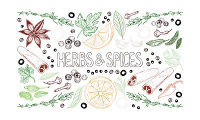 Set of hand drawn spices, herbs, vegetables, fruits and lettering on white background. Horizontal color vector illustration.