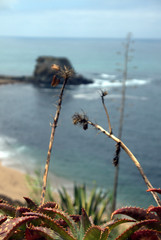 Playa Porto Novo 3