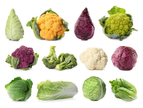 Set with different types of cabbage on white background