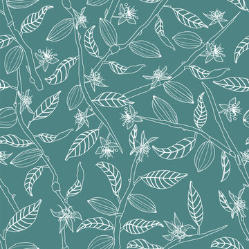 Line art cocoa tree branches bearing flowers and fruit pods seamless vector pattern background.