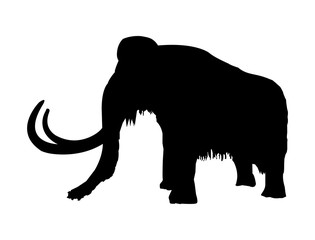 Vector black silhouette of prehistoric wooly mammoth with tusks isolated on a white background