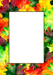 Naklejka na ściany i meble Frame of autumn maple leaves. Painted in watercolor. Template with place for writing text