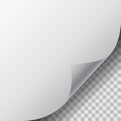 Realistic illustration of a blank white page with curled corner and shadow on transparent background
