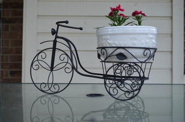 Fototapeta na wymiar bicycle+flowers