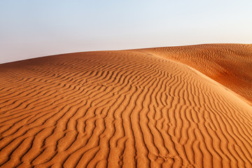 Sand dune in a desert. United Arab Emirates