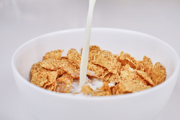 Cornflakes with milk on a white background