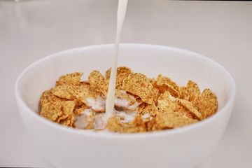 Cornflakes with milk on a white background
