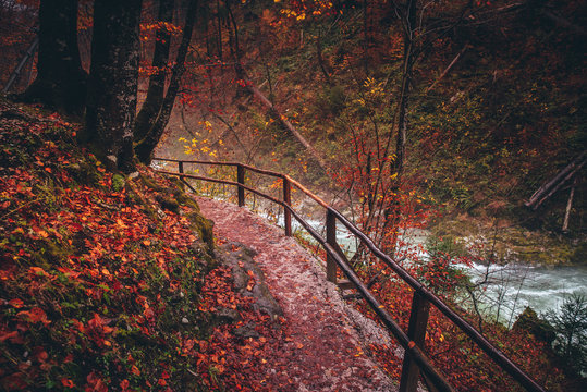 Beautiful path in colorful rainy autumn forest. Road by the river.